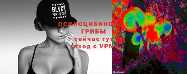 гашик Баксан