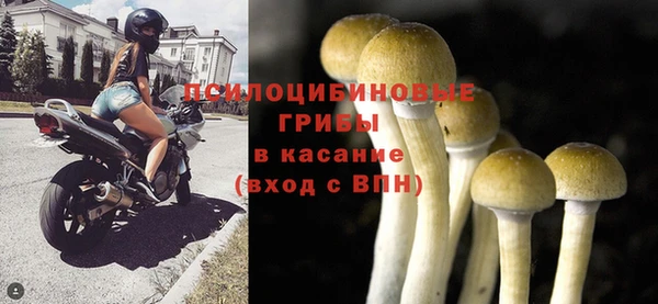 гашик Баксан