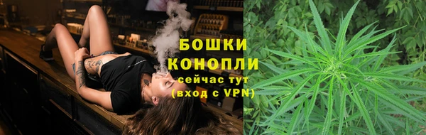 гашик Балахна