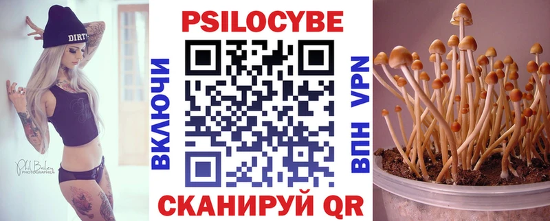 Псилоцибиновые грибы MAGIC MUSHROOMS  Поворино 